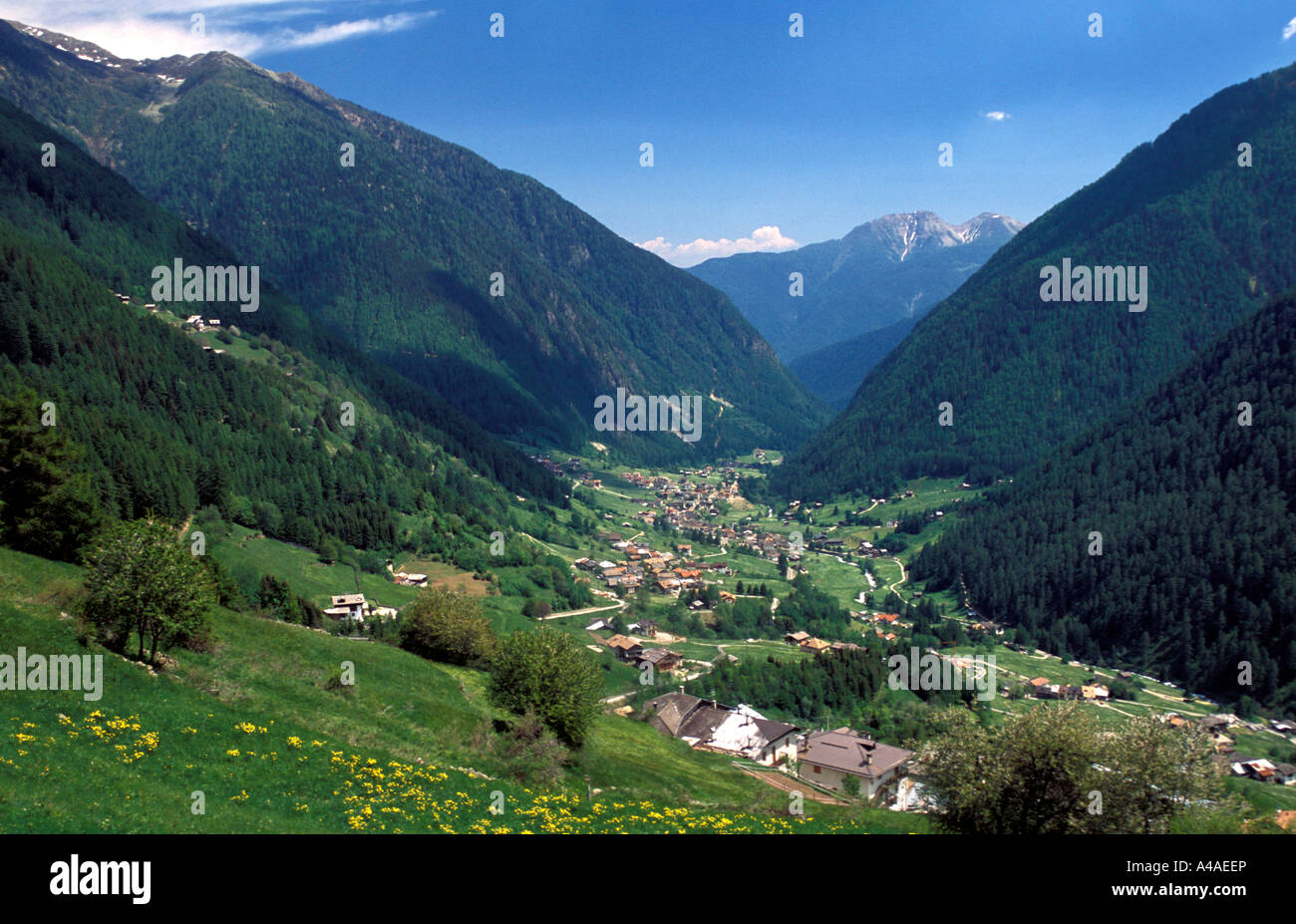 Landschaft Valle Di Rabbi Trentino Alto Adige Italien Stockfotografie landschaft-valle-di-rabbi-trentino-alto-adige-italien-stockfotografie
