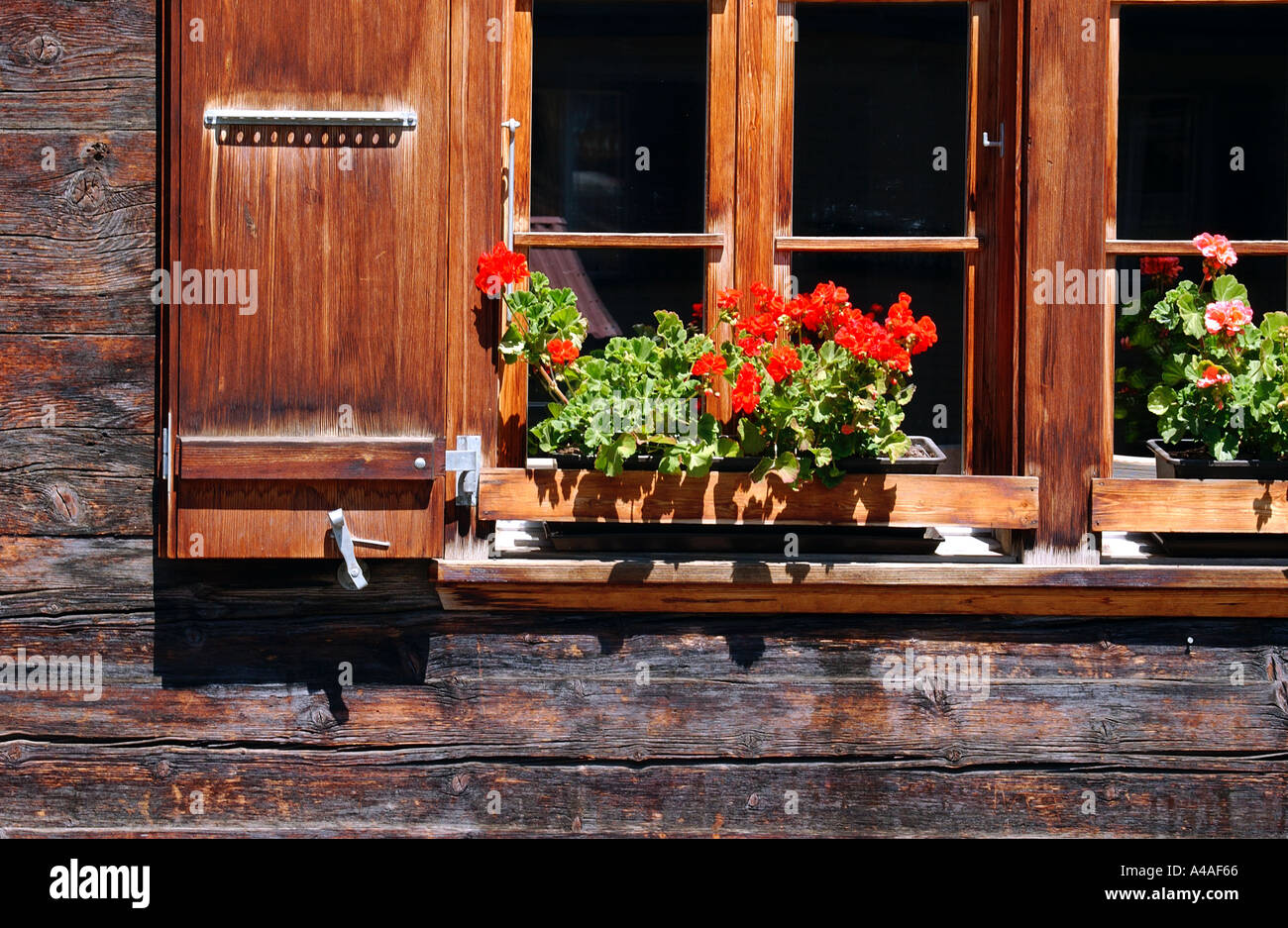 Blumenkasten auf traditionelle Schweizer Chalet in Interlaken Schweiz  Stockfotografie - Alamy