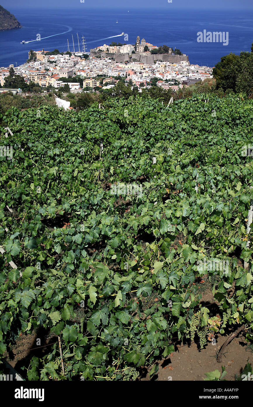 Weingut Lipari Insel Äolischen Inseln Sizilien Italien Stockfoto