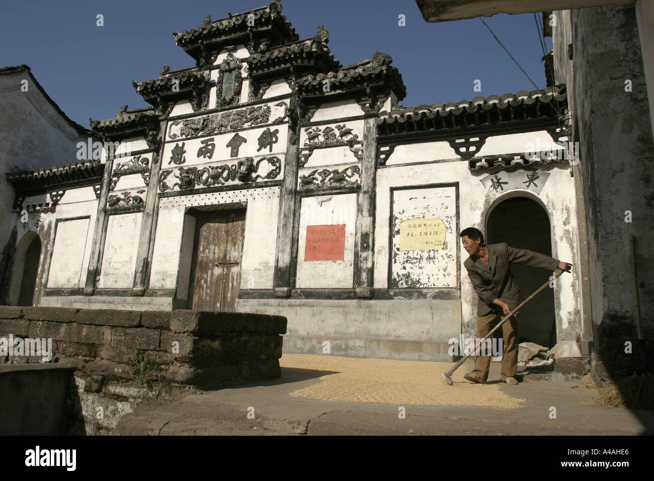 Lanxi Zhuge Dorf, China. Hier ist der Mensch aus dem Harken seinen Reis der Ernte in der Sonne getrocknet. Stockfoto
