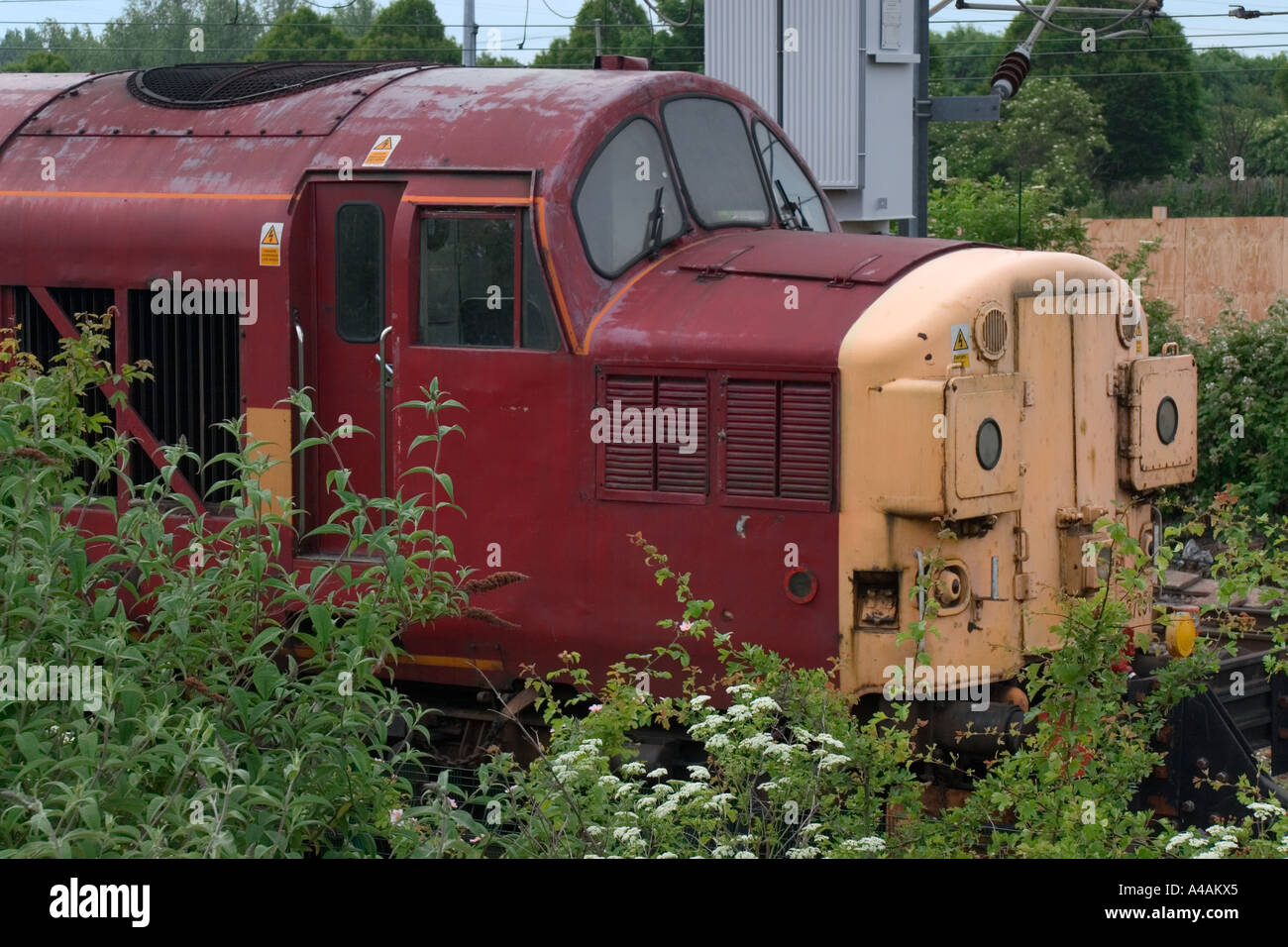 Ein Burgund farbigen Deisel Zug sitzen ungenutzt in die Anschlussgleise, umgeben von wilden Blumen Stockfoto