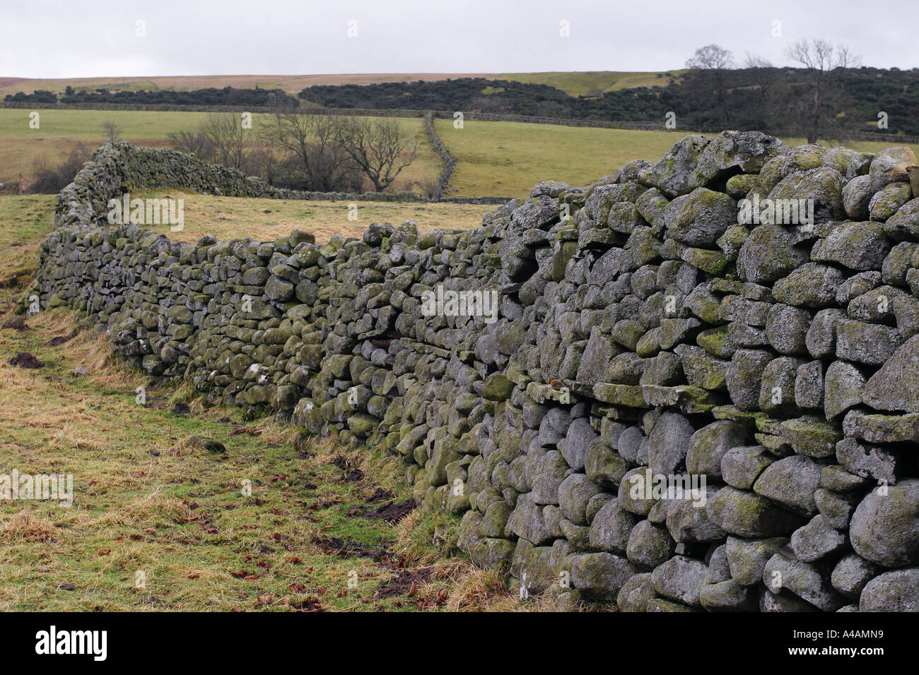 Eine Steinmauer in der Nähe von hohen Kraft, Teesside, UK, Februar 2006. Stockfoto