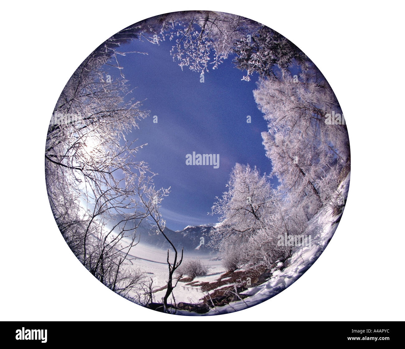 DE - Bayern: Winter in der Nähe von Bad Tölz Stockfoto