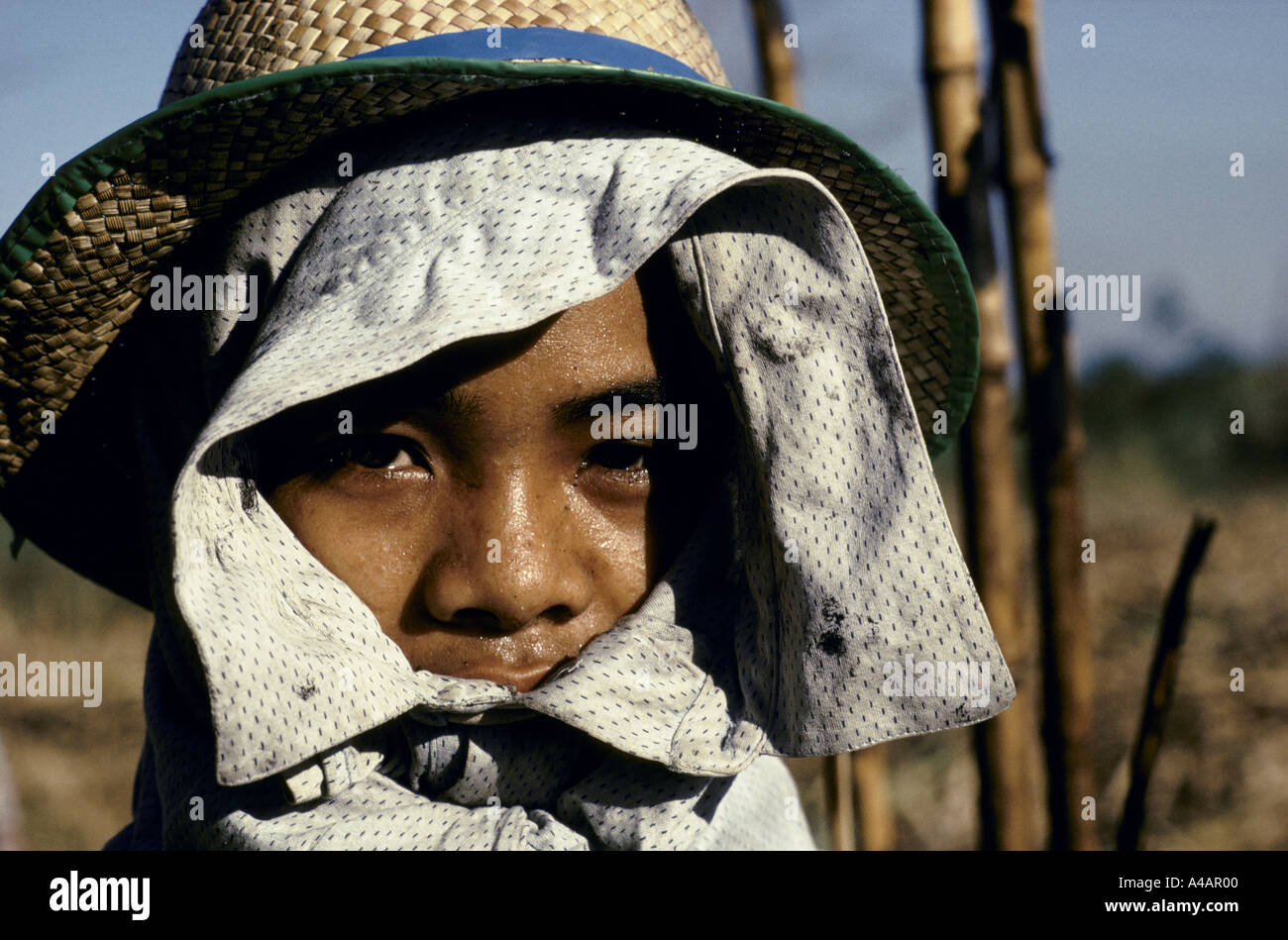 Philippinen: ein Zuckerrohr Cutter auf der Hacienda Luisita Plantage, Präsidenten Cory Aquino Familienbesitz, Feb1991 Stockfoto