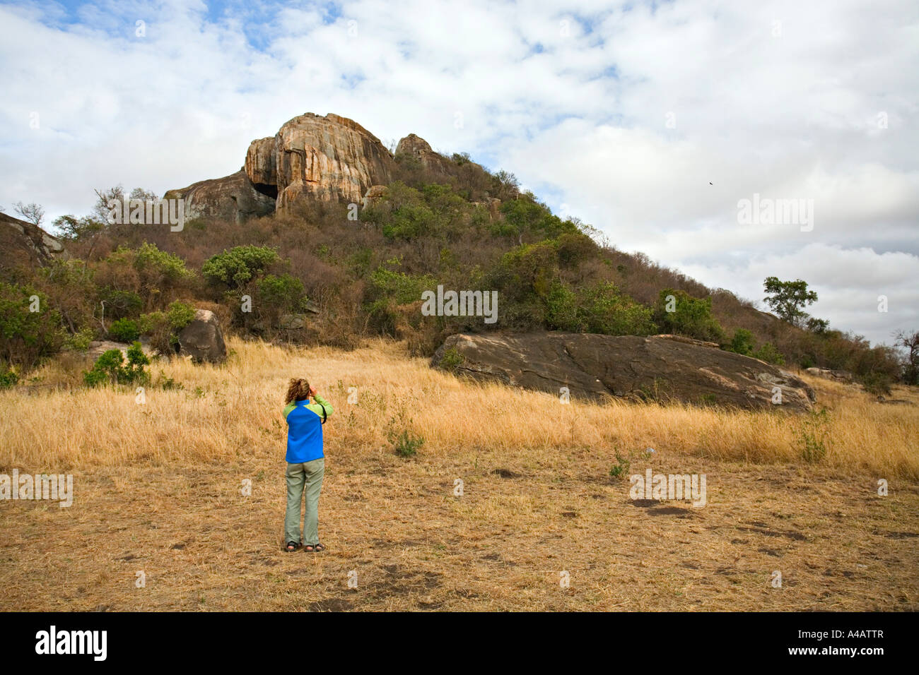 Wildbeobachtung von Lobo-Camp in Serengeti Nationalpark, Tansania, Afrika Stockfoto