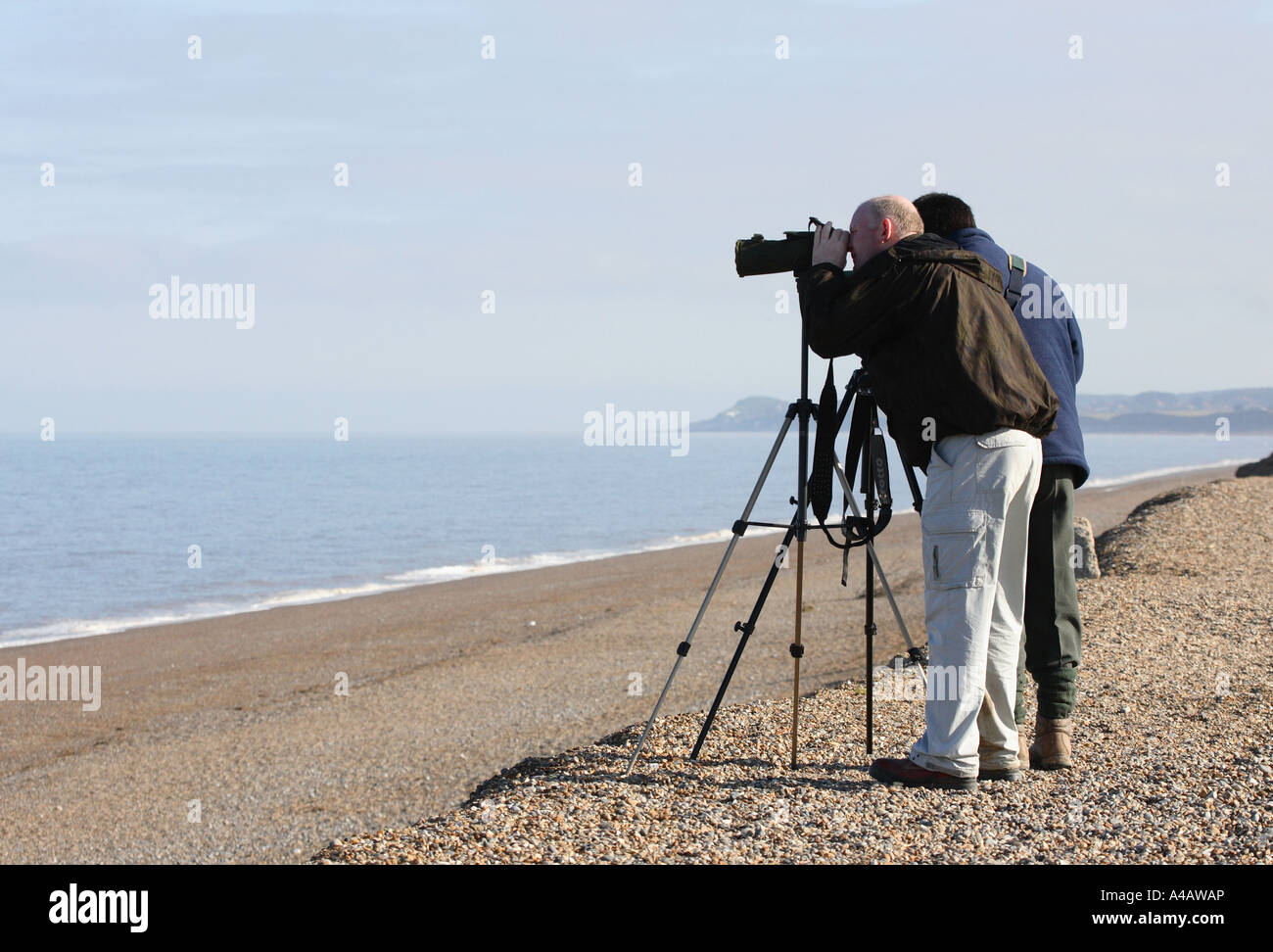 Vogelbeobachter Blick auf das Meer Stockfoto