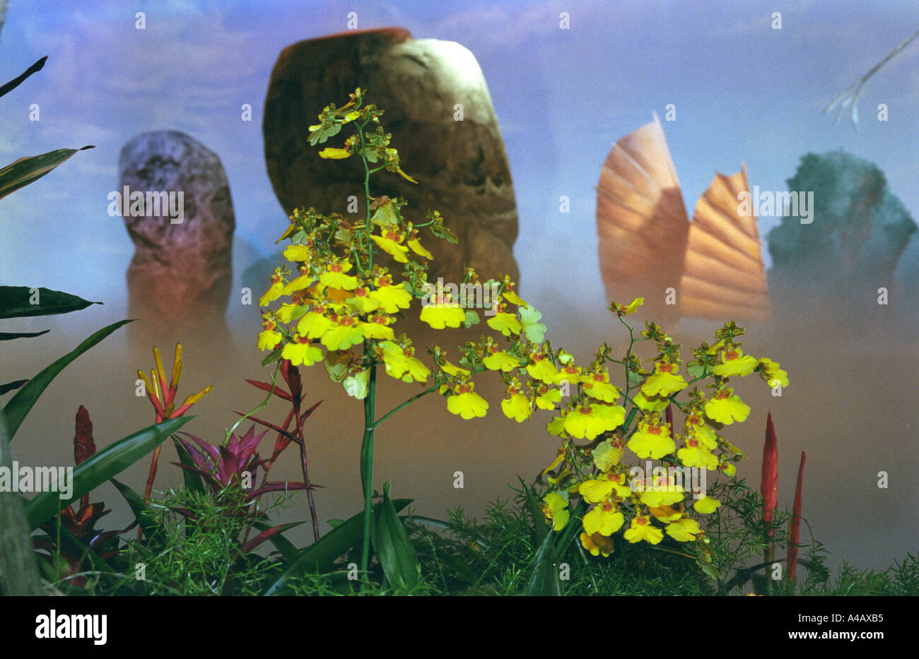 Ausstellen von Orchideen in künstliche Landschaft Einstellung Florissimo 2005 Ausstellung Dijon Frankreich Stockfoto