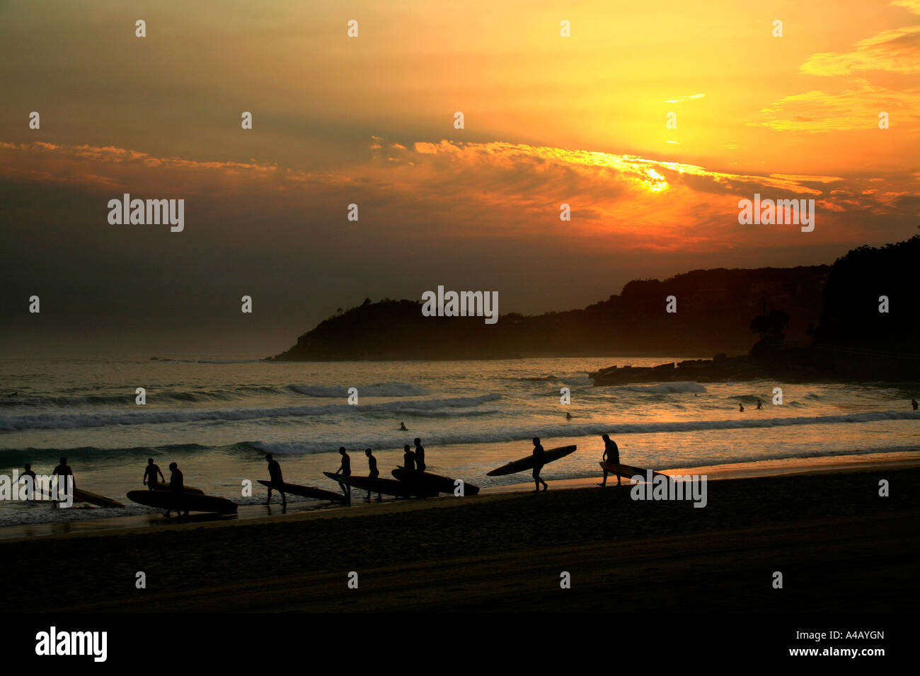 Surf-Lebensretter trainieren im Morgengrauen in Südaustralien Steyne Manly Stockfoto