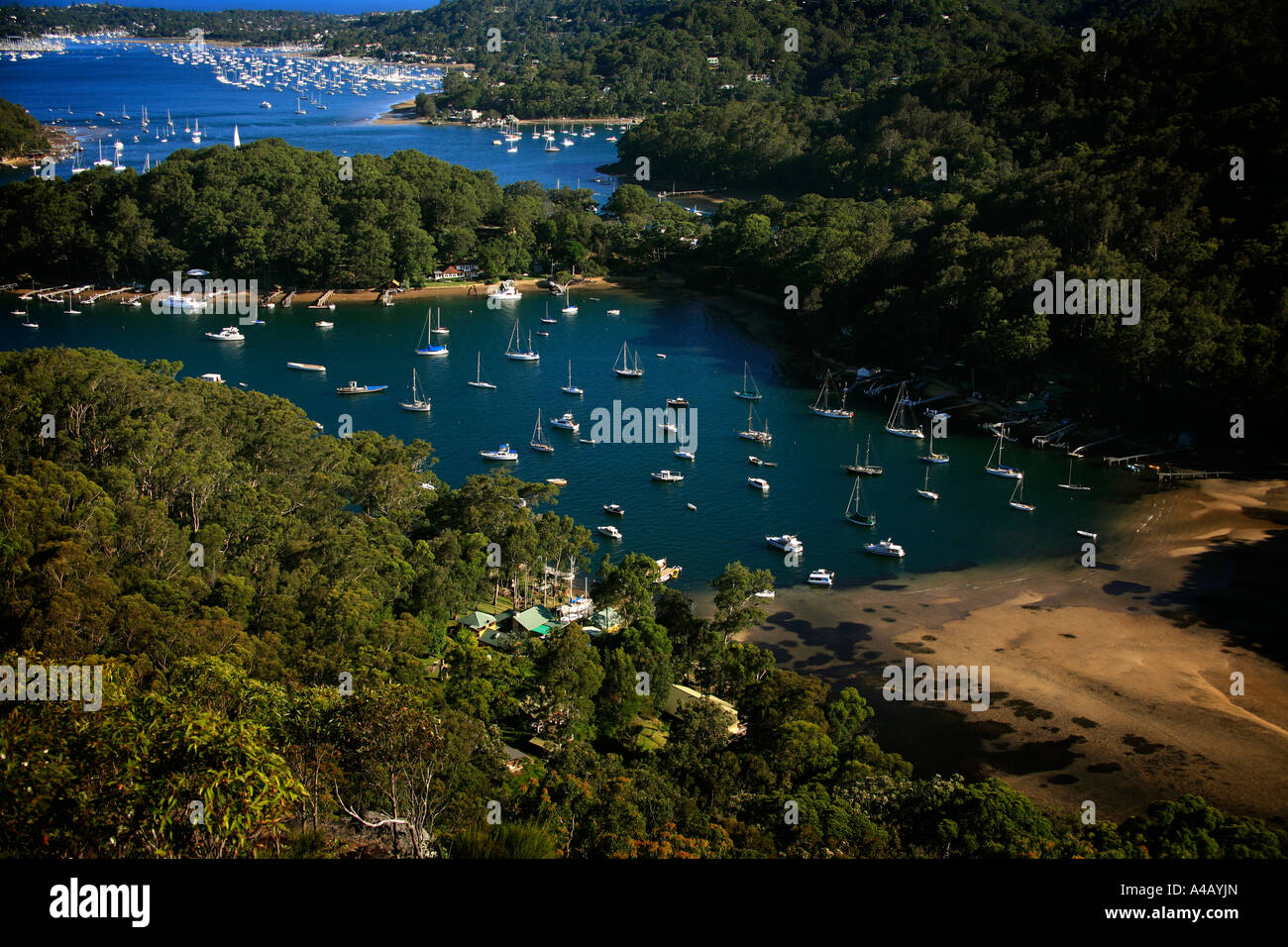 Das Blatt wird bei Lovett Bucht in Sydneys Pittwater Stockfoto