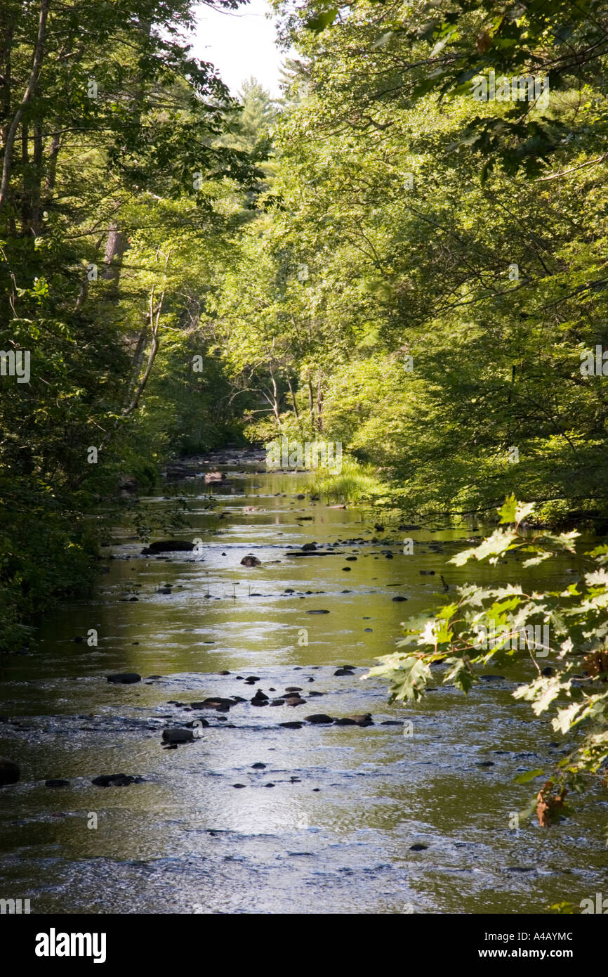 Mittleren Teil der Piscataquog Fluss nach Norden von der Fussgängerbrücke in der Nähe von Gregg Mill rd Stockfoto