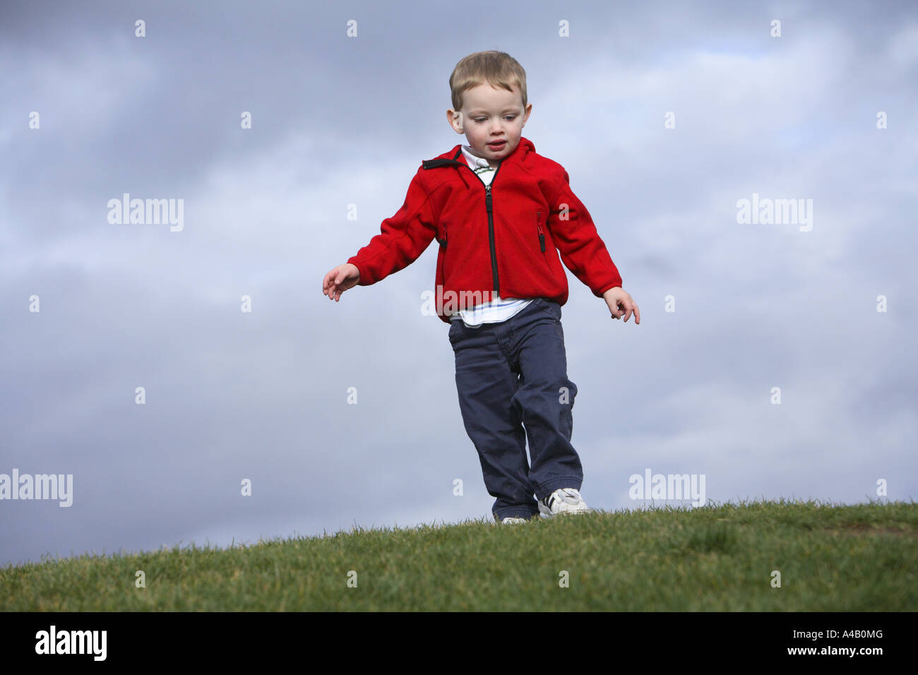 Zwei Jahre alten Jungen zu Fuß in den Rasen. Stockfoto