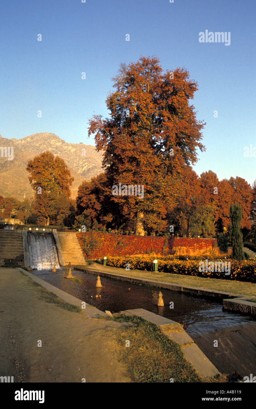 Nishat Bagh Kaschmir Jammu Kaschmir Indien Stockfoto