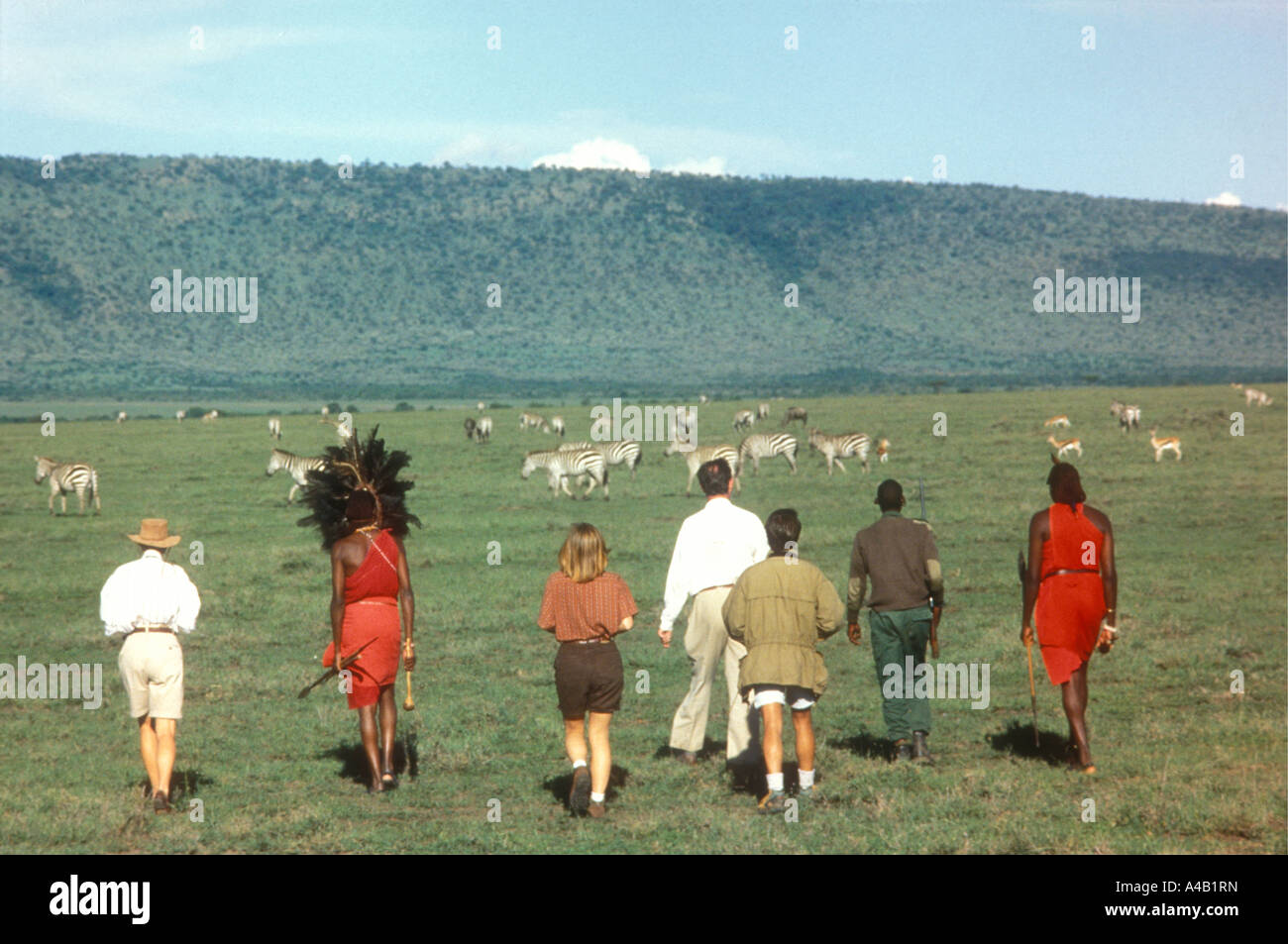 Kunden bei einem Spiel Spaziergang in Begleitung und bewaffneten Ranger ein Massai-Krieger Masai Mara National Reserve Kenia in Ostafrika Stockfoto