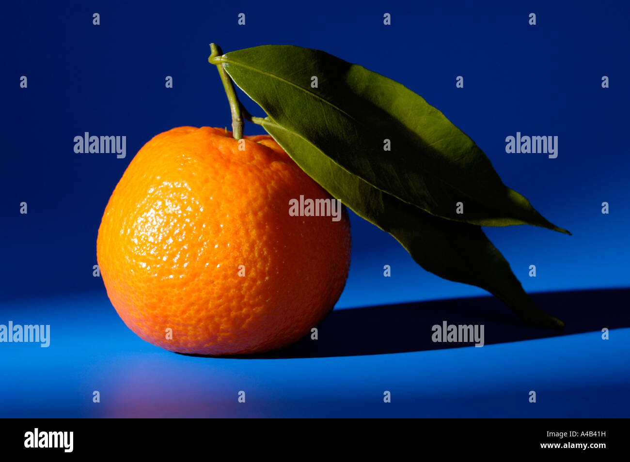 Appetitlich bunten Mandarine Stockfoto