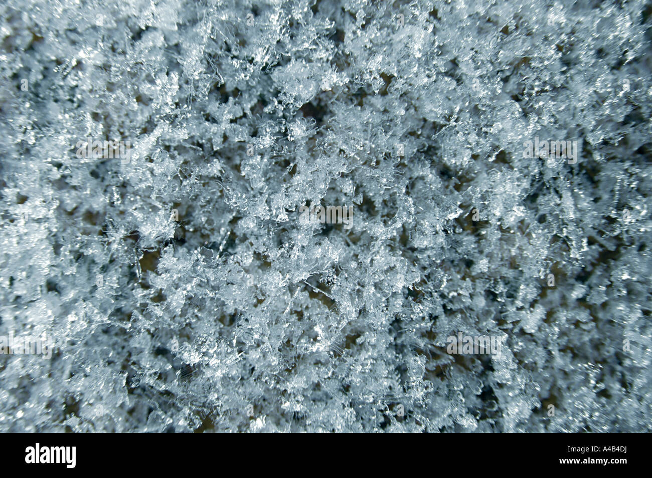 Eis-Kristalle-Muster-Makro Stockfoto