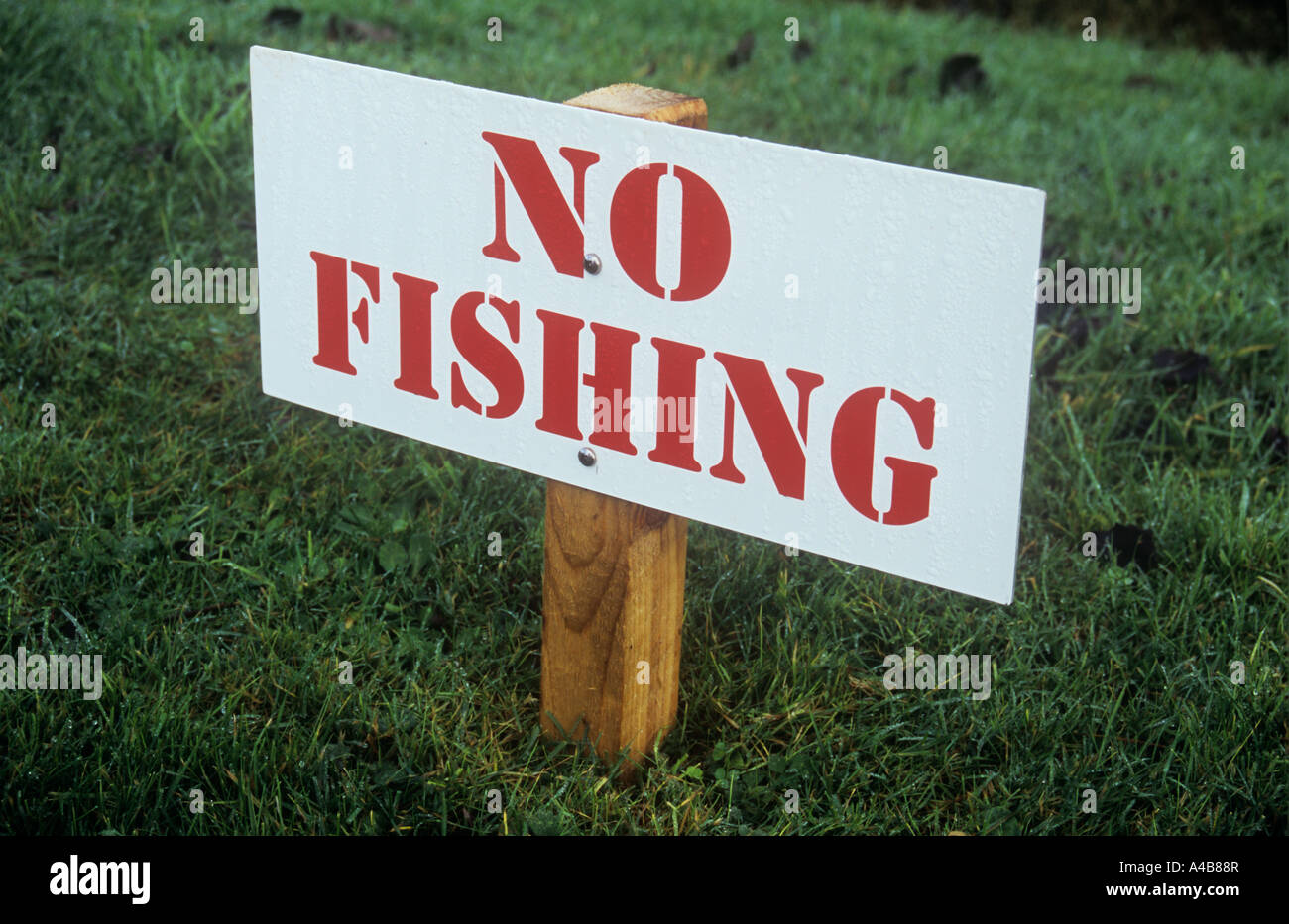 Glänzendes neues Schild am kurzen Pfosten auf nassem Rasen kühn besagt in roten Großbuchstaben auf weiß keine Fischerei Stockfoto