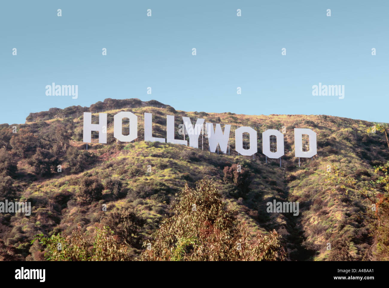 Hollywood Schriftzug Los Angeles Stockfoto