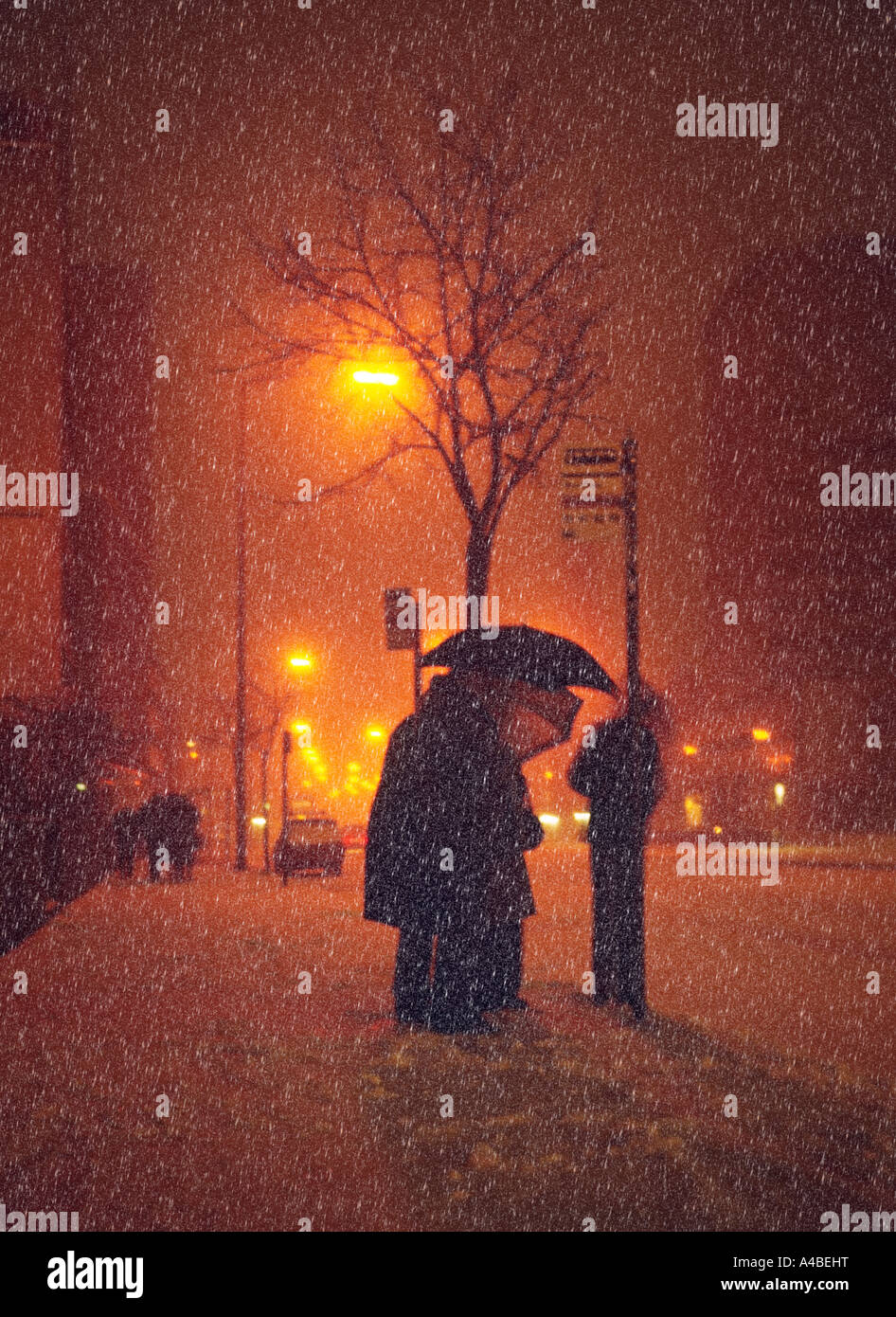 Wartenden an Bushaltestelle in starkem Schneefall in der Nacht Newport Road Cardiff Wales UK Stockfoto