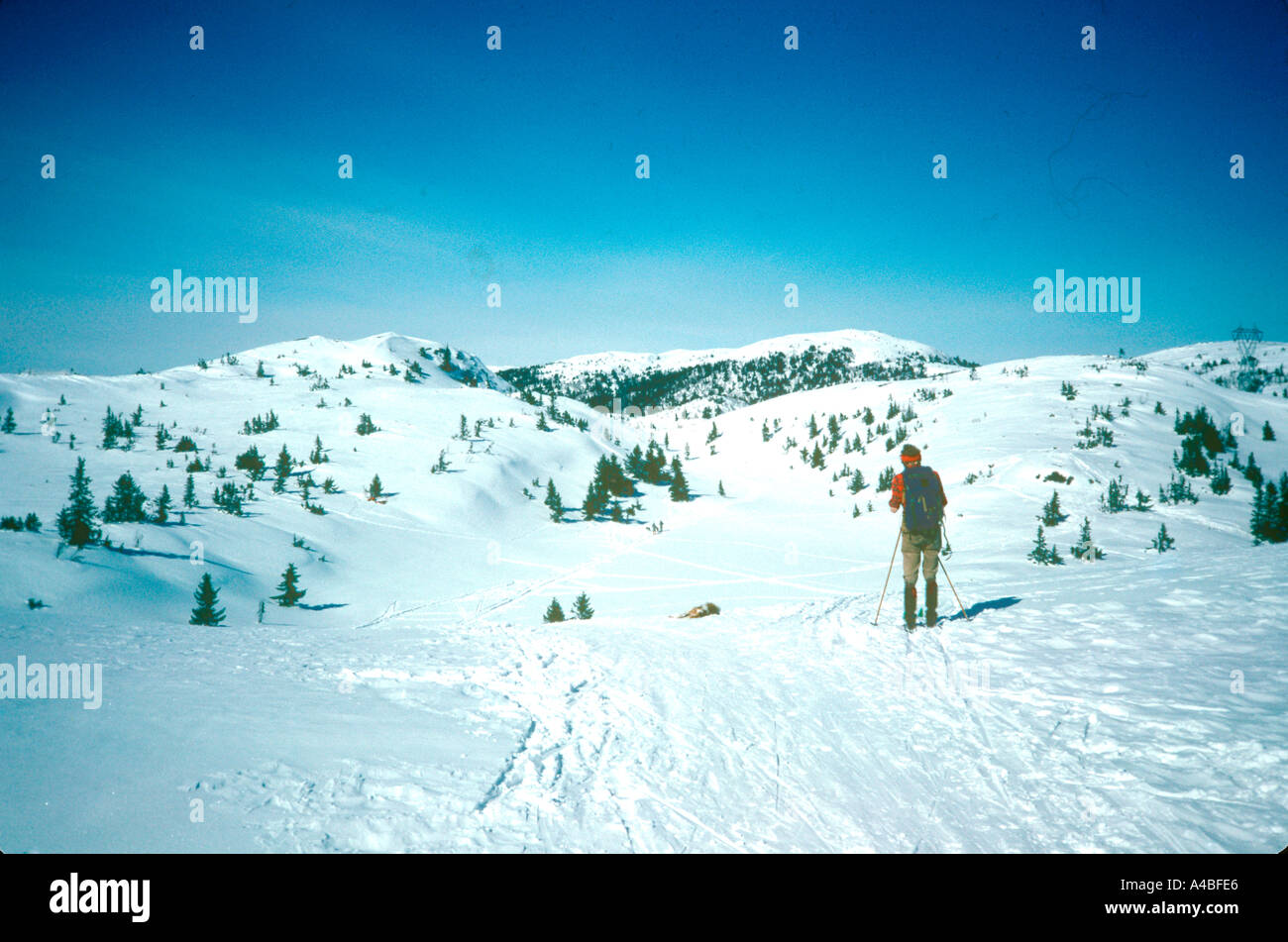 Langlauf in Norwegen Stockfoto