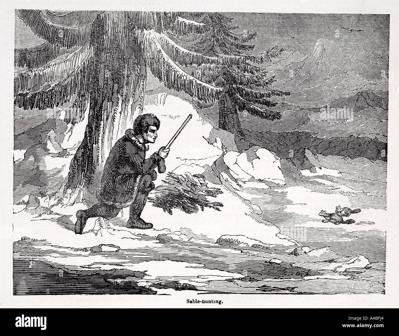 Zobel Natur Natur Ökologie wild kostenlose Sport Jagd Gewehr Gewehr töten Schnee Eis arktischen Marder Pelzhandel Stockfoto