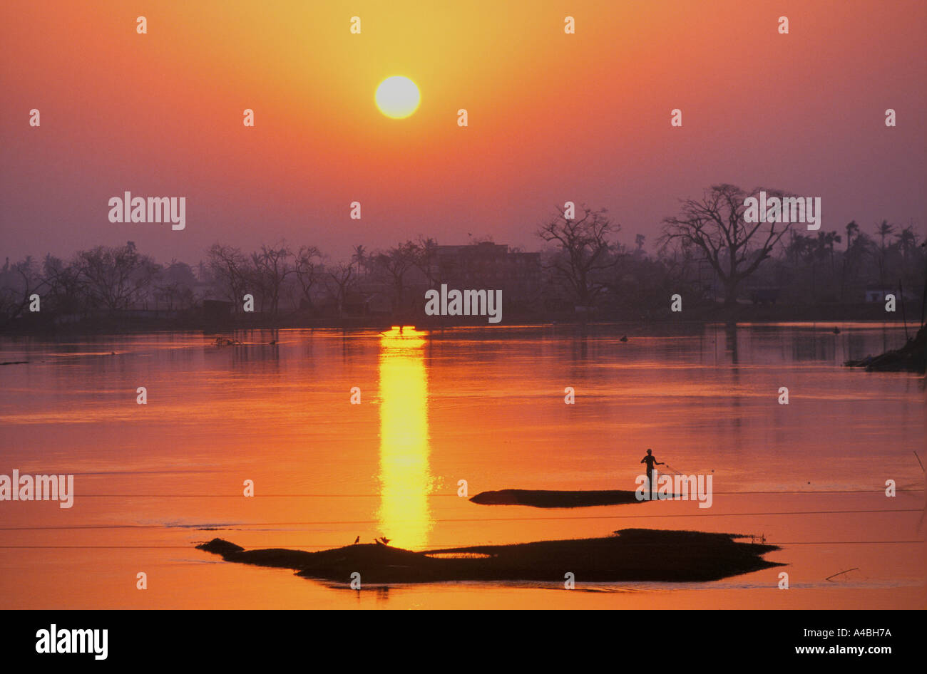 Orissa-Indien: Wasserstände sind zurück zu normal, da seine Fischer seine Netze an einem Fluss bei Sonnenaufgang wirft Stockfoto