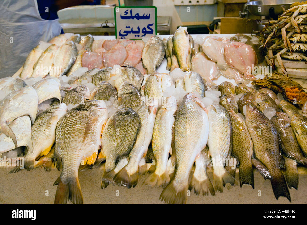 Kuwait fish market -Fotos und -Bildmaterial in hoher Auflösung – Alamy