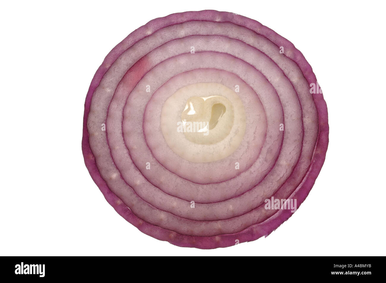 Rote Zwiebel-Scheibe auf einem weißen Hintergrund Stockfoto