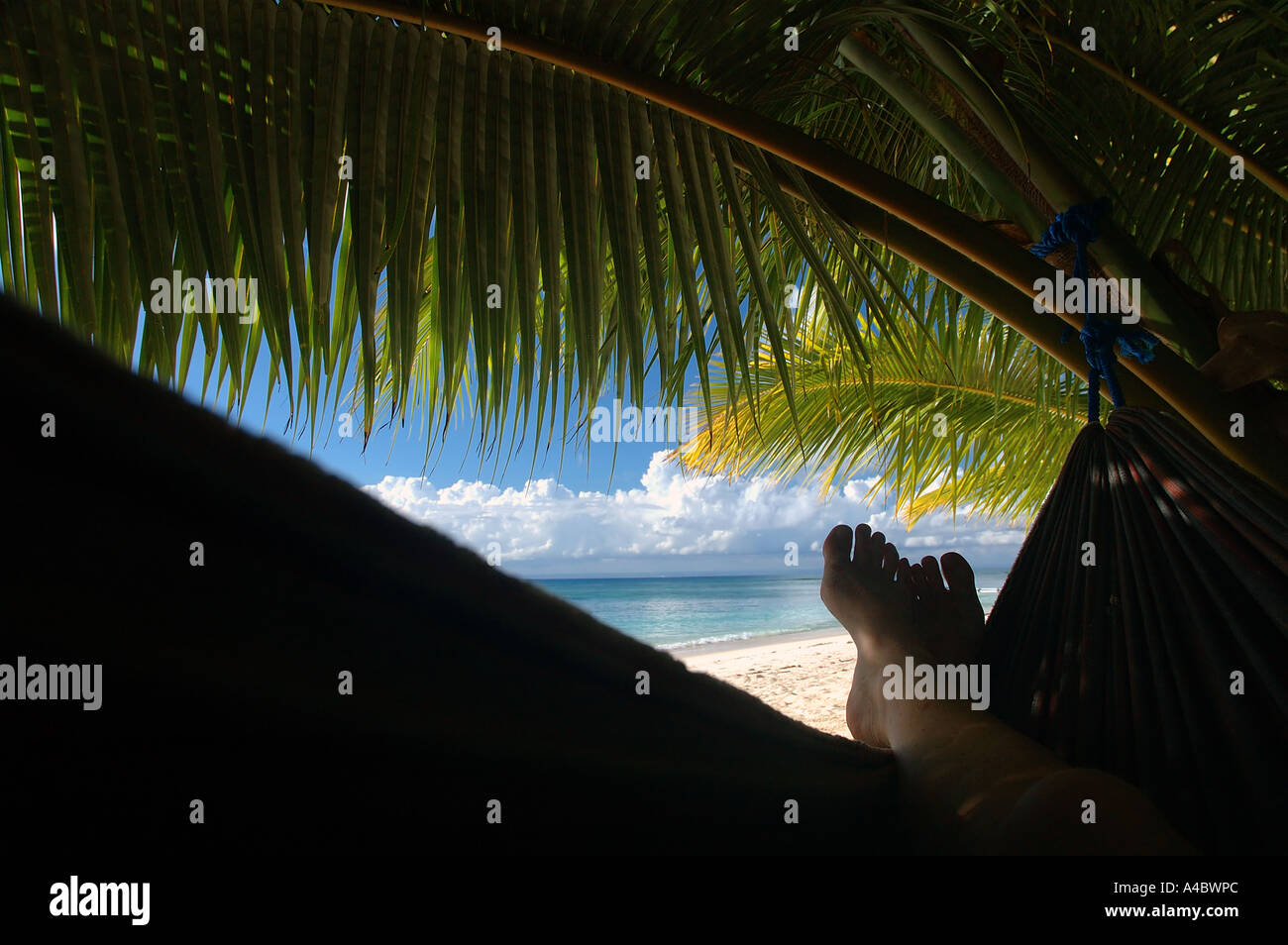 Füße in Hängematte am tropischen Strand Stockfoto