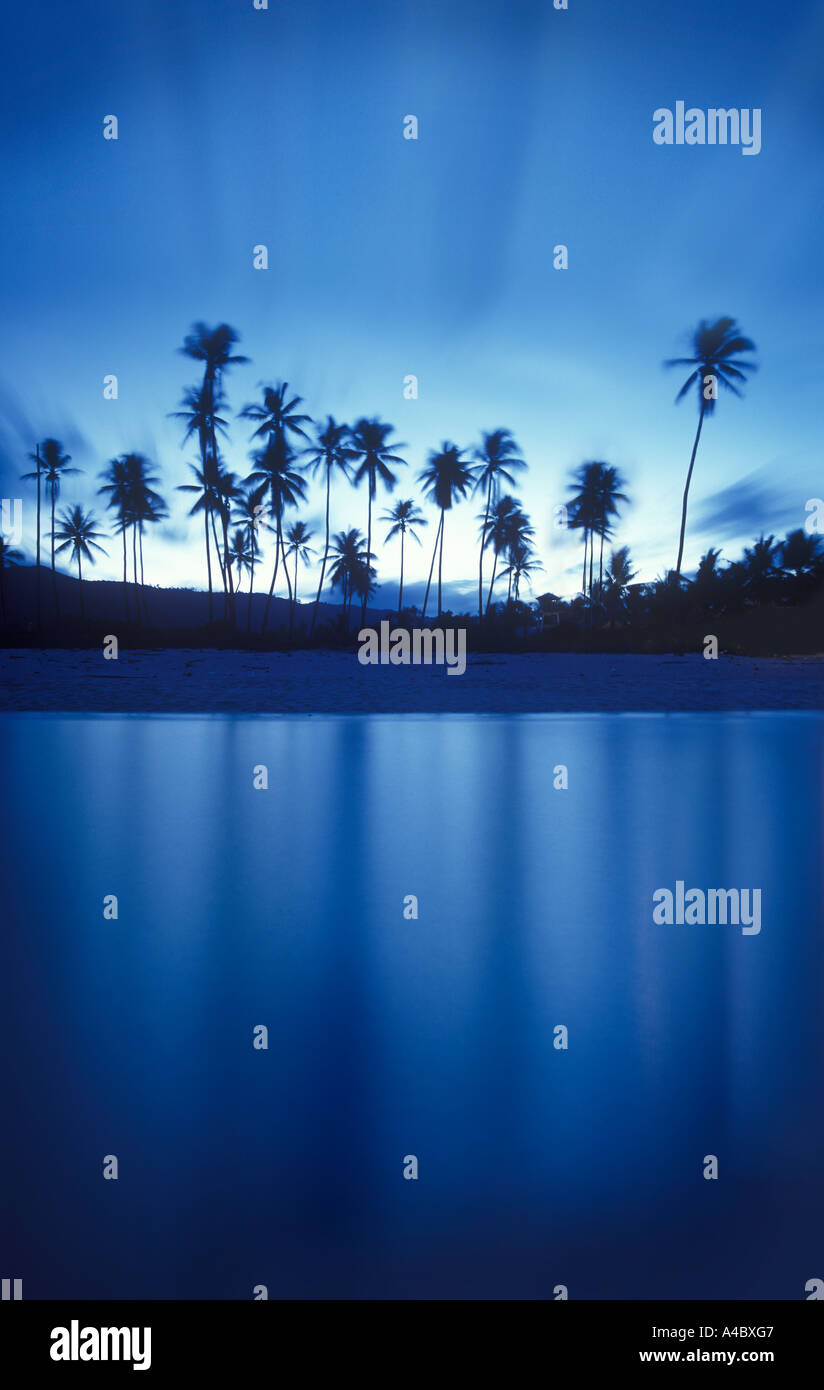 Silhouette von Palmen und Reflexionen im ruhigen Wasser der Lagune, Koh Samui Thailand Stockfoto