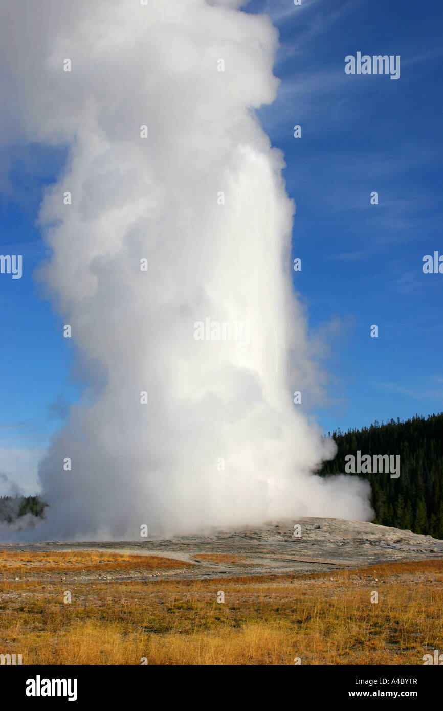 Old Faithful Geysir, Yellowstone-Nationalpark, wyoming Stockfoto
