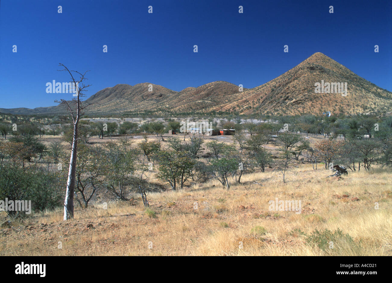 Wüste, Landschaft und Farm Namibia 2000 Stockfoto