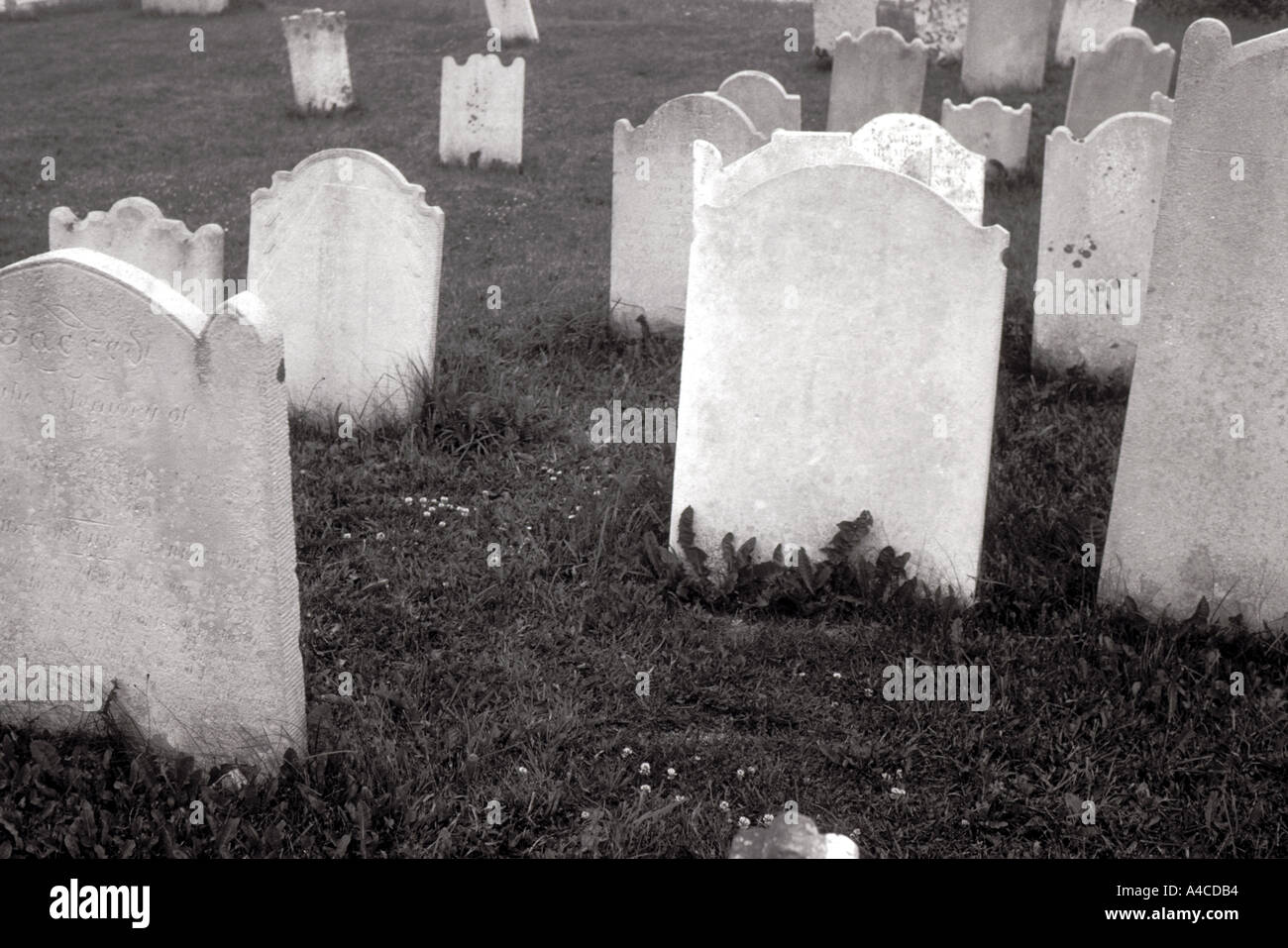 Grabsteine auf dem Friedhof Trinity Neufundland Kanada Stockfoto