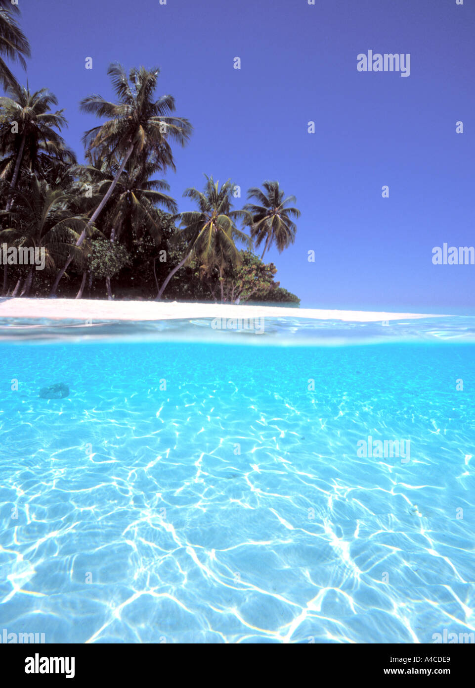 Halbe Unterwasserblick Beach auf der tropischen Insel Kuda Bandos Island Malediven Indischer Ozean Stockfoto