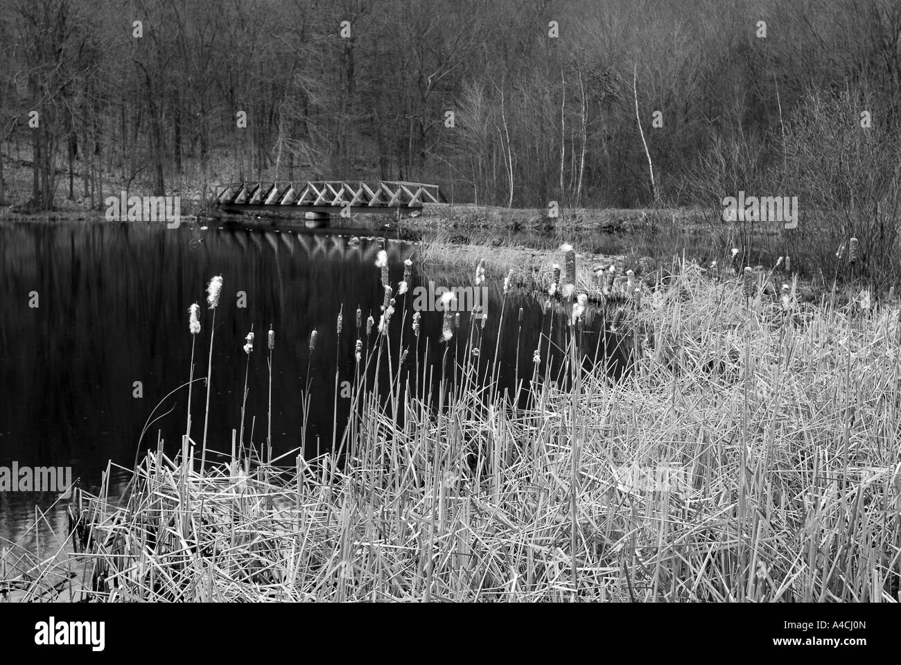 Frischwassertank in Bethany Connecticut North America Stockfoto