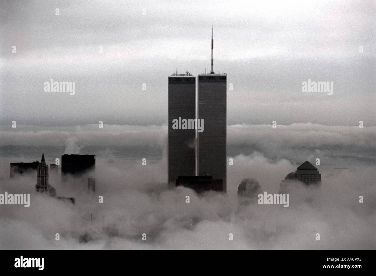 Das World Trade Center erhebt sich über dem Nebel Stockfoto