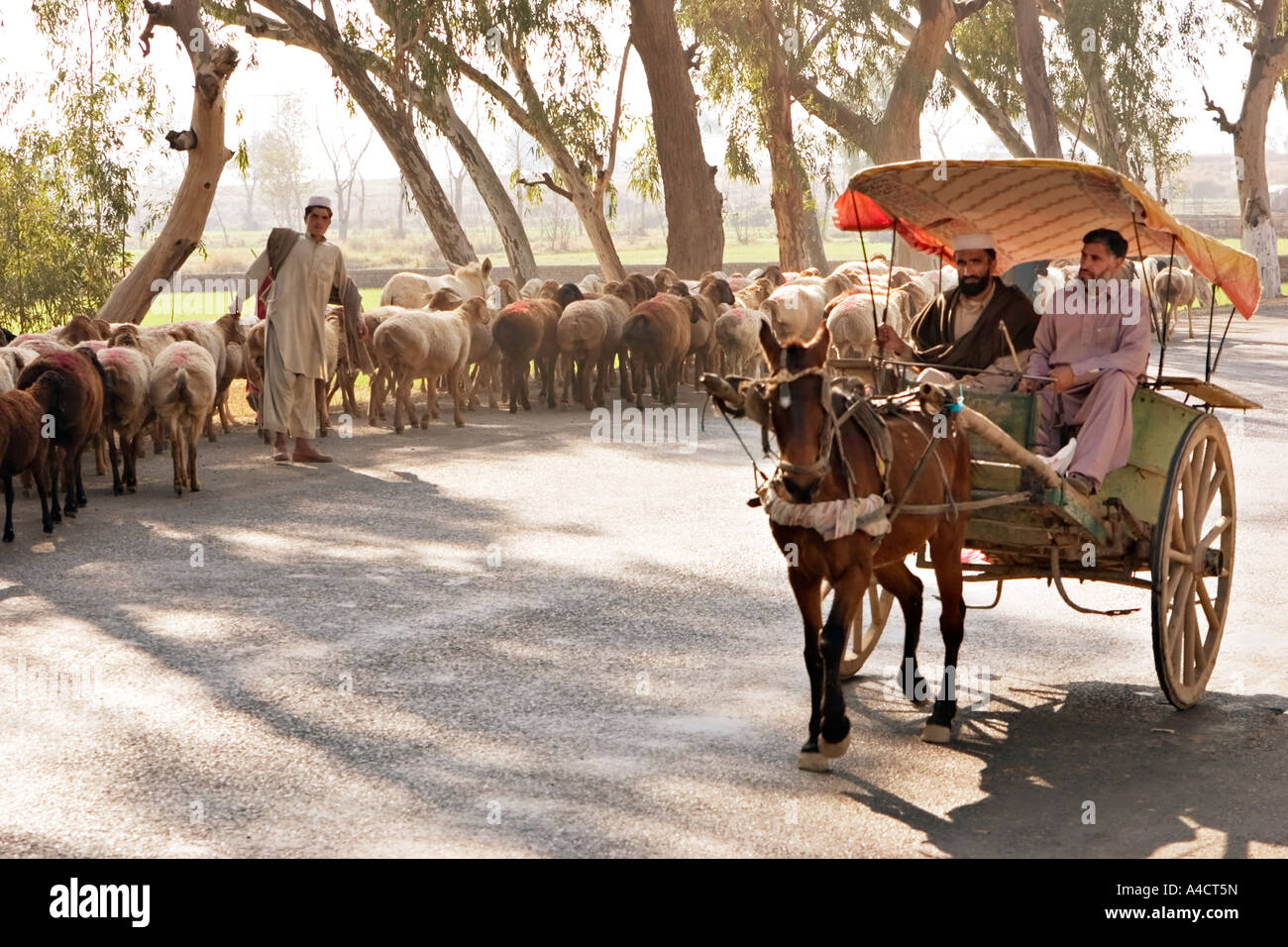 Männer in einem Pferd gezogenen Kutsche in Pakistan Stockfoto