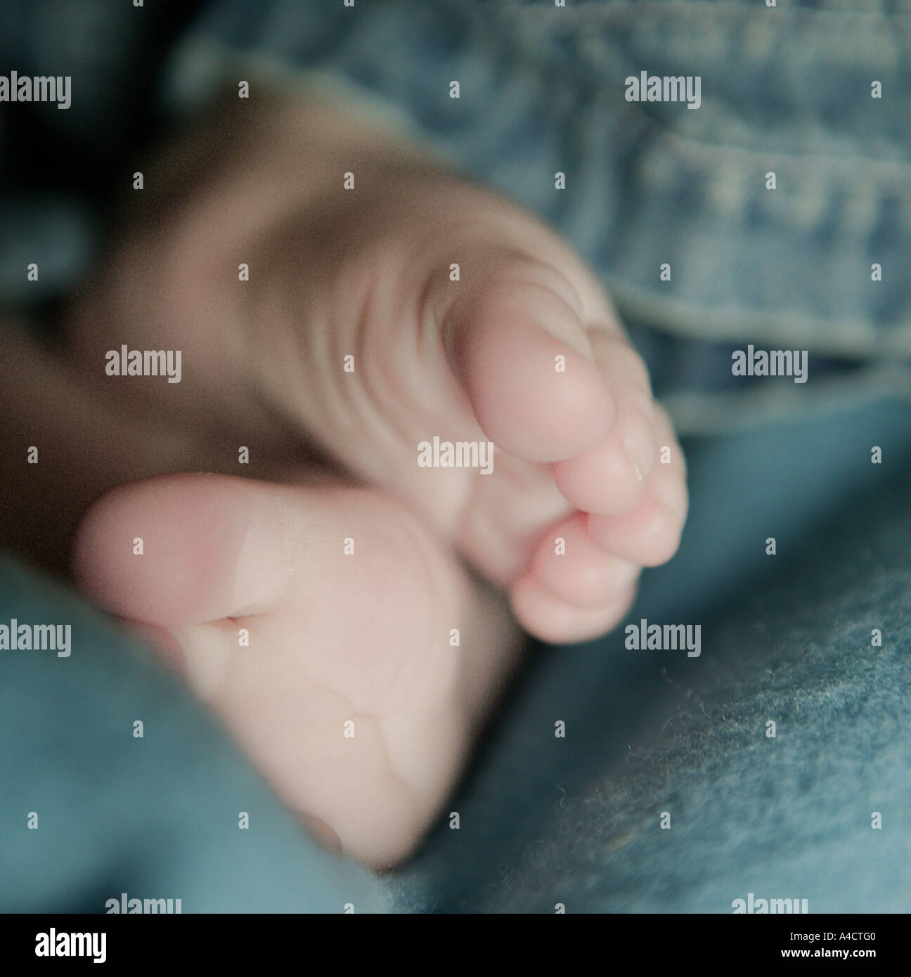 quadratische Detail Closeup Ernte von Babys Jungen Childs Füße tragen Jeansbekleidung auf einer weichen blauen Teppich positioniert Stockfoto