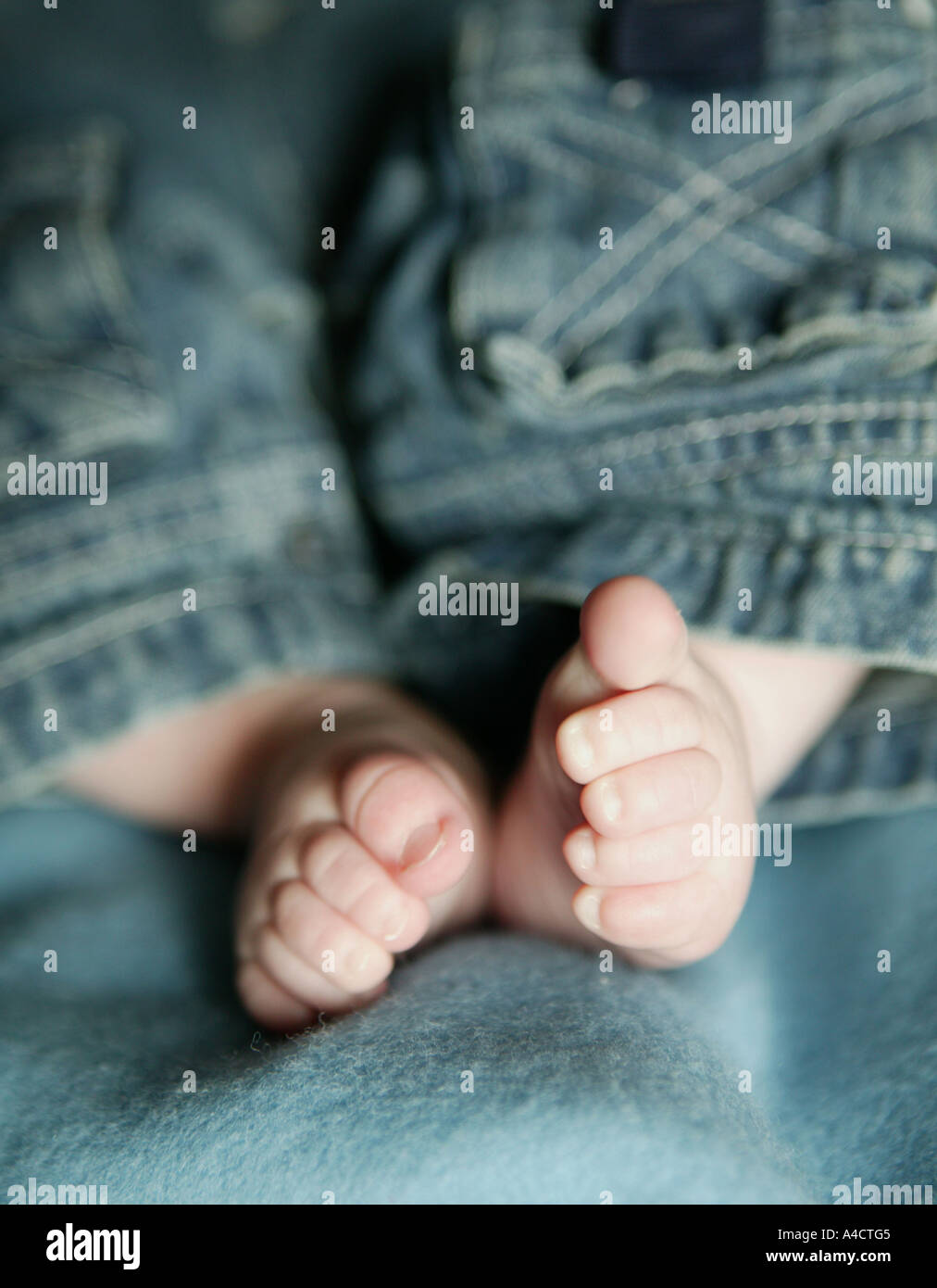 Detail Closeup Ernte von Babys Jungen Childs Füße tragen Jeansbekleidung auf einer weichen blauen Teppich positioniert Stockfoto