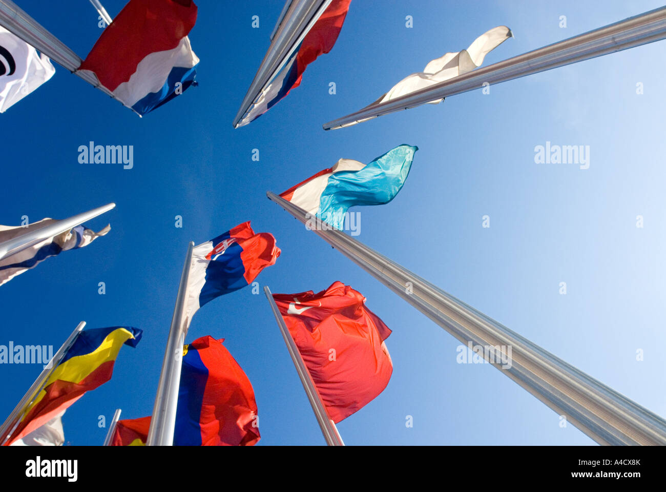 viele europäische Flaggen zusammenstehen im blauen Himmel Stockfoto