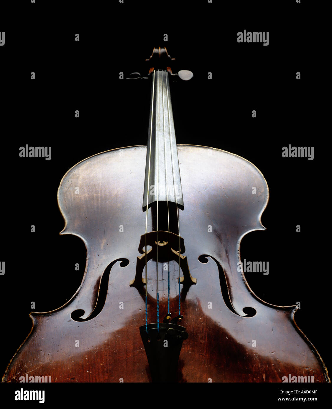 Cello, schwarzer Hintergrund. Stockfoto