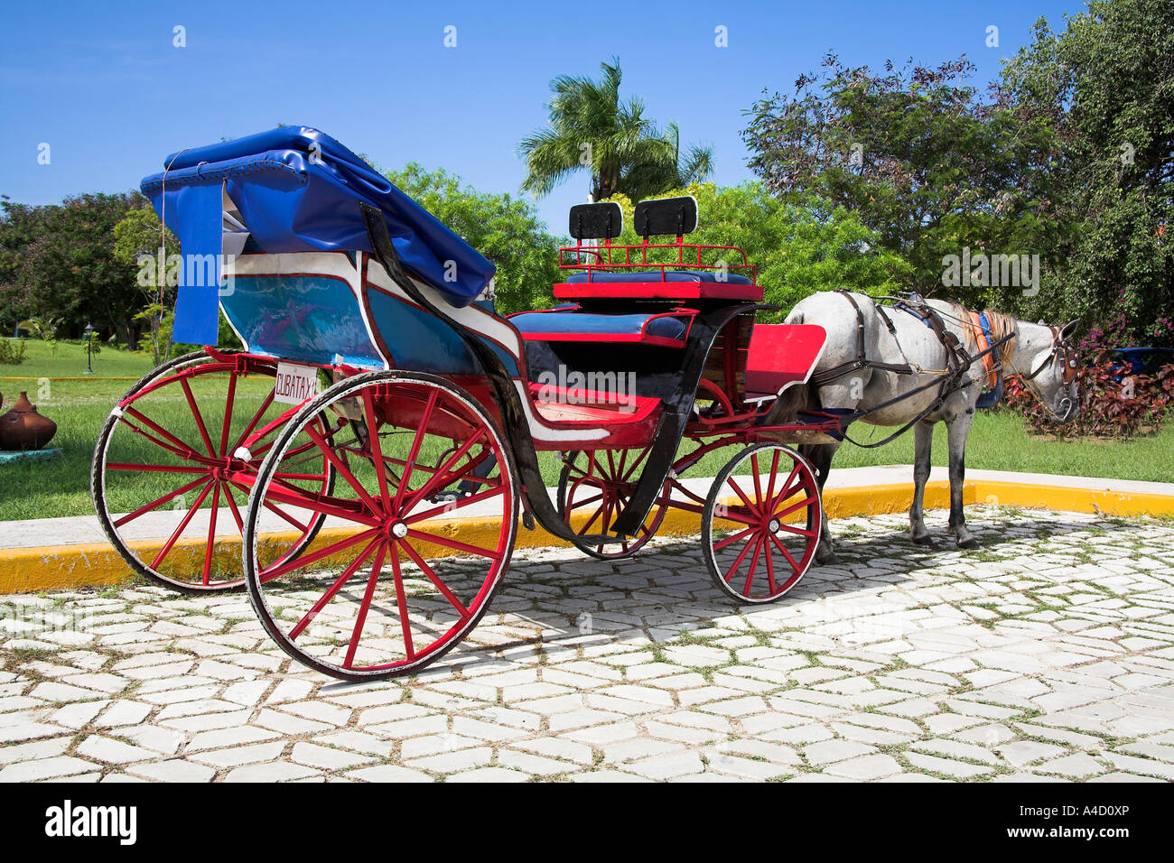 Pferd und open Top Wagen, einem kubanischen Taxi, Guardalavaca, Provinz Holguin, Kuba Stockfoto