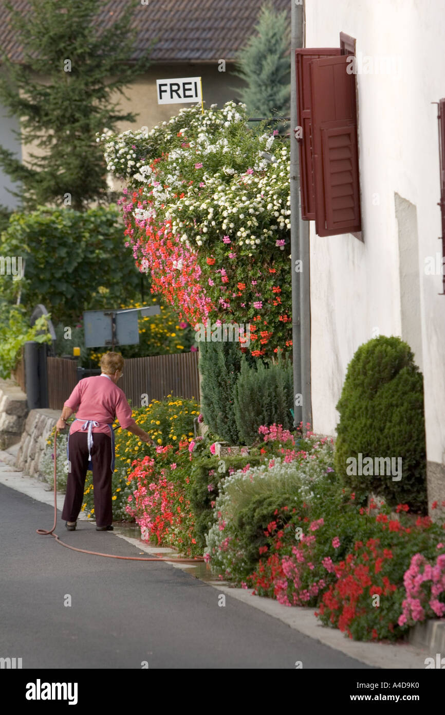 Frau, Bewässerung Blumen Guest house, Vezzan, Südtirol, Italien Stockfoto