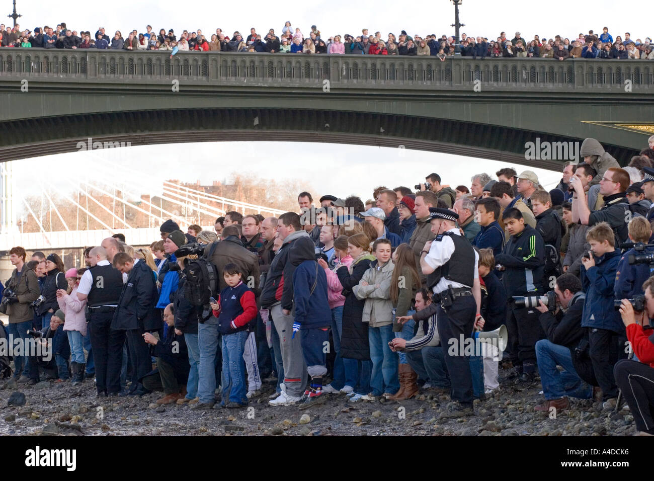 Menschenmassen beobachten Themse Wal Rettung Versuch - Battersea Bridge - London Stockfoto