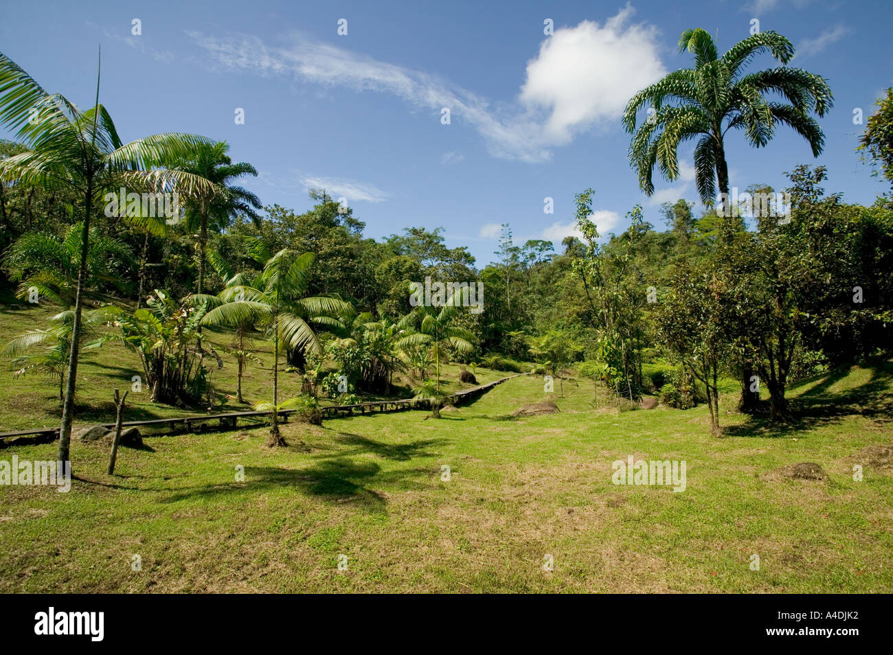 Wasserfall-Lodge-Bereich bei Rara Avis, Valle Central & Highlands, Costa Rica Stockfoto