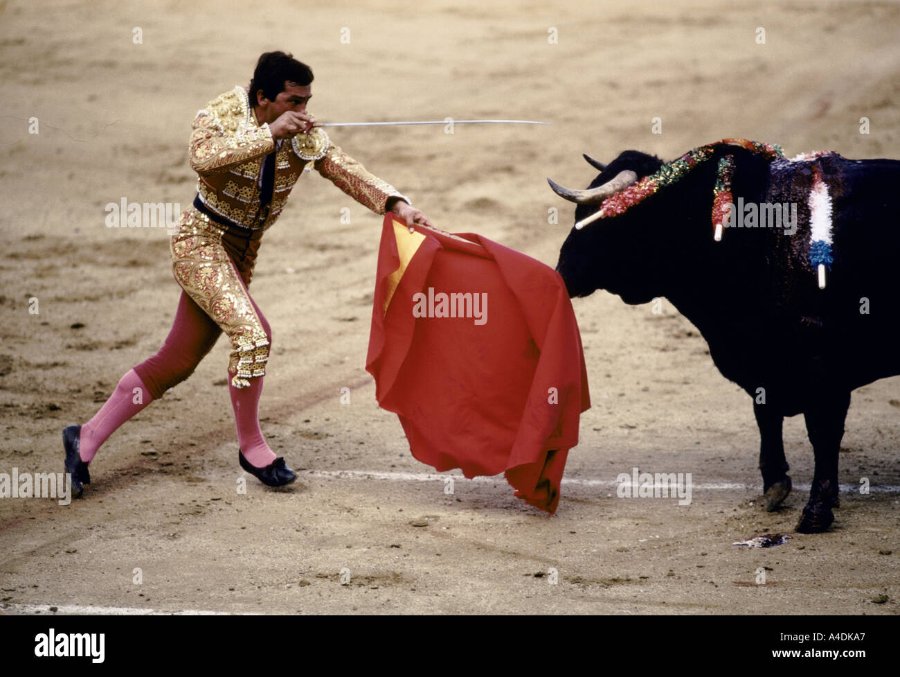 Ein Matador nach vorne laufen und stechen einen Stier mit einem Schwert. Las Ventas Madrid Spanien Stockfoto