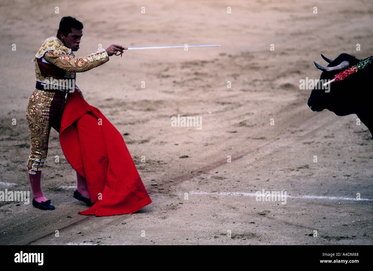 Torero Victor Mendes mit dem Ziel des Stieres in Spanien, Las Ventas, Madrid Stockfoto