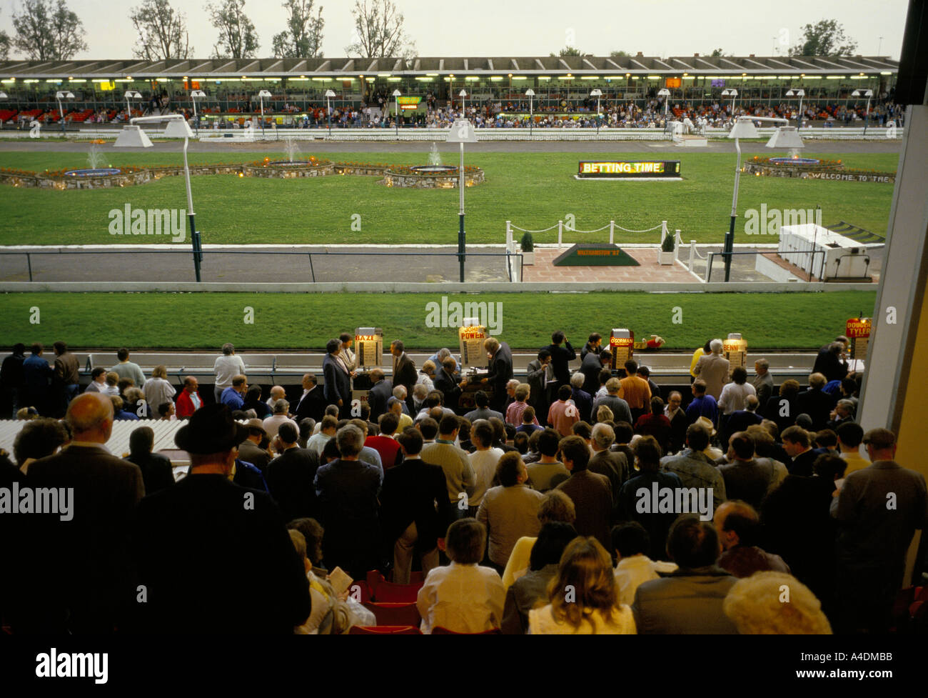Zuschauer bei Windhundrennen, Walthamstow Stadium, London, UK Stockfoto