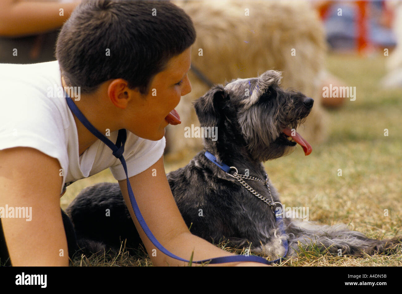 Ein Junge imitiert einen Hund seine Zunge heraus Scruffts Hundeausstellung Spott Crufts, UK Stockfoto
