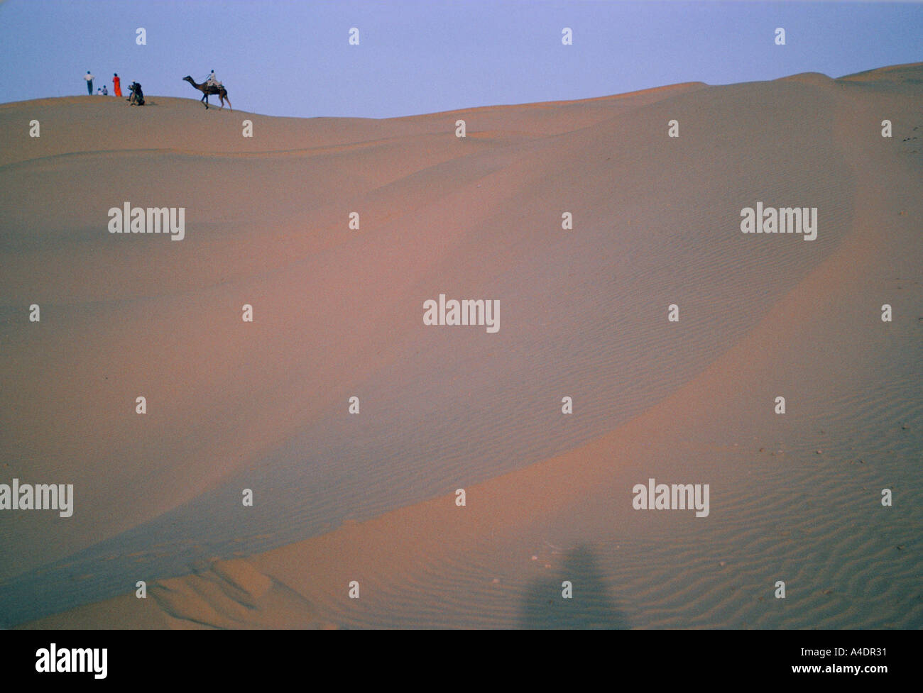 Sanddünen in der Wüste Thar, Rajasthan, Indien Stockfoto