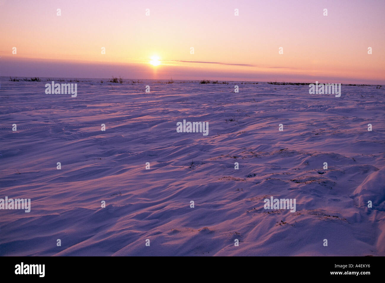 Kanada-Wapusk-Nationalpark in der Nähe von Hudson Bay s Sastrugi Formen aus Wind im Schnee bei Sonnenuntergang Anfang März Stockfoto